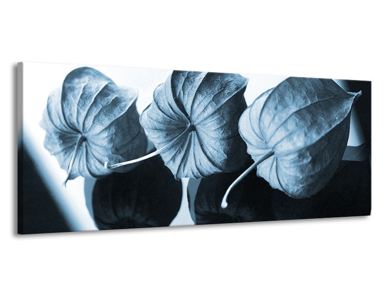 Canvas Schilderij Bloem | Blauw, Wit | 145x58cm 1Luik