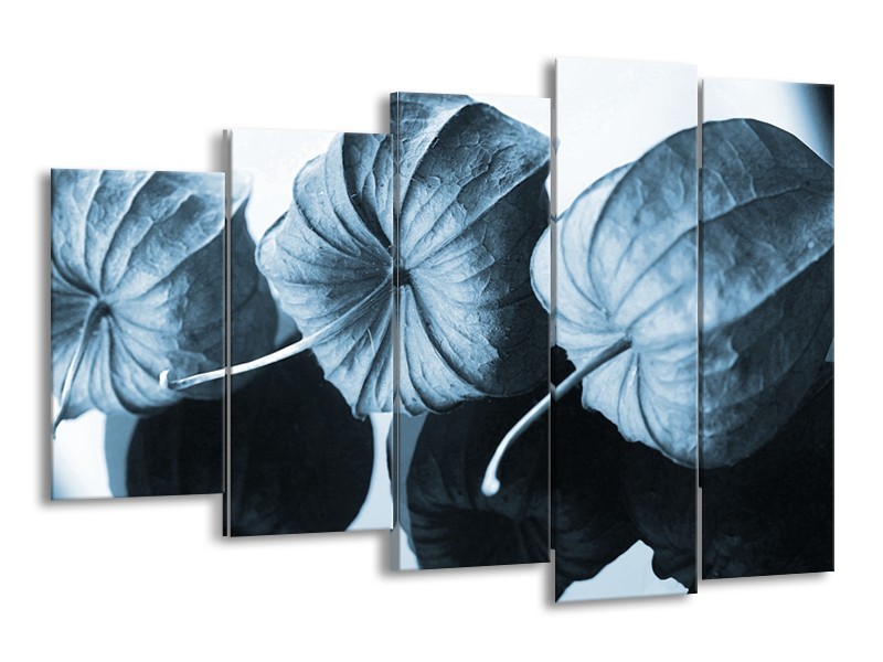 Canvas Schilderij Bloem | Blauw, Wit | 150x100cm 5Luik