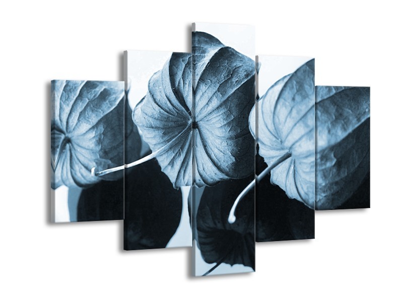 Canvas Schilderij Bloem | Blauw, Wit | 150x105cm 5Luik