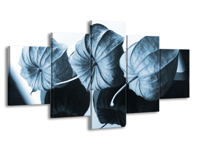 Canvas Schilderij Bloem | Blauw, Wit | 150x80cm 5Luik