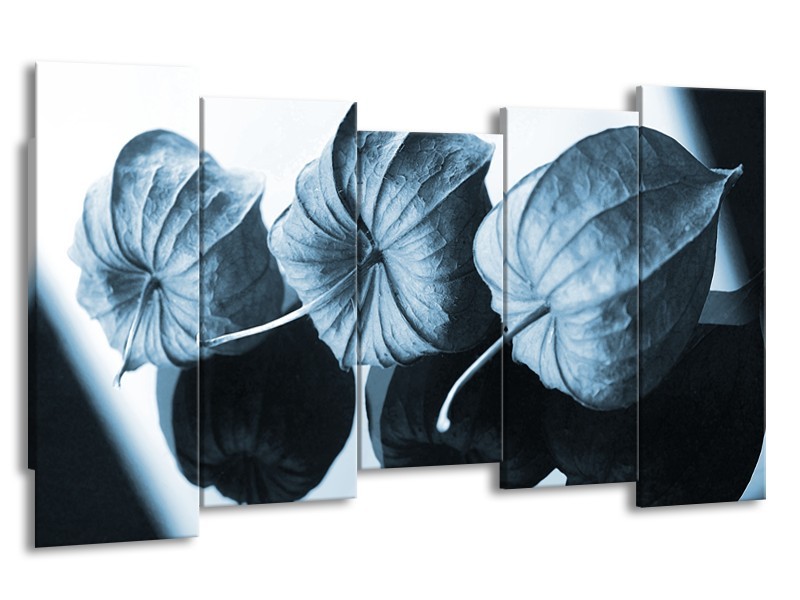 Canvas Schilderij Bloem | Blauw, Wit | 150x80cm 5Luik