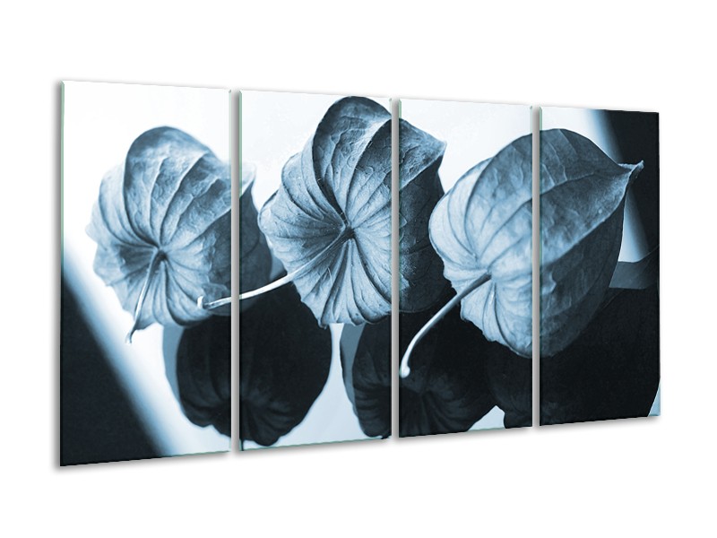 Glasschilderij Bloem | Blauw, Wit | 160x80cm 4Luik