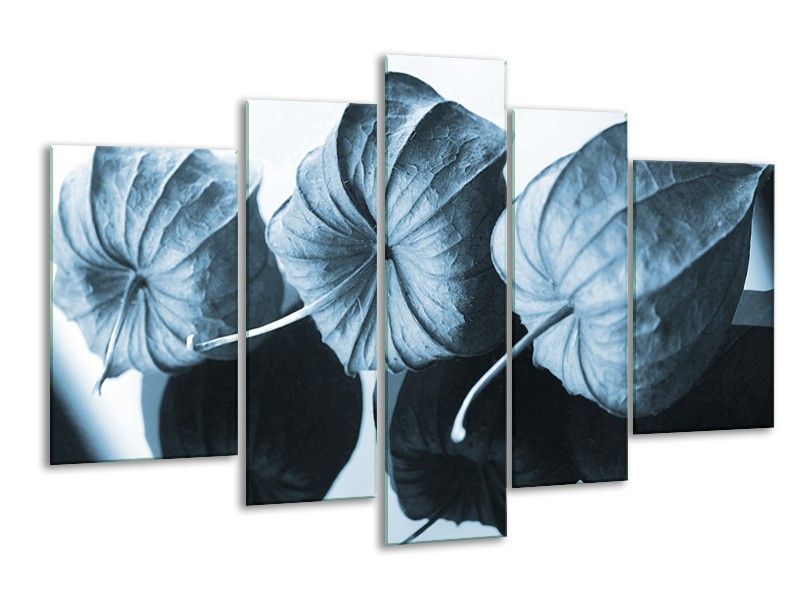 Glasschilderij Bloem | Blauw, Wit | 170x100cm 5Luik