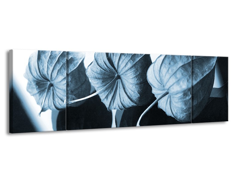 Canvas Schilderij Bloem | Blauw, Wit | 170x50cm 3Luik