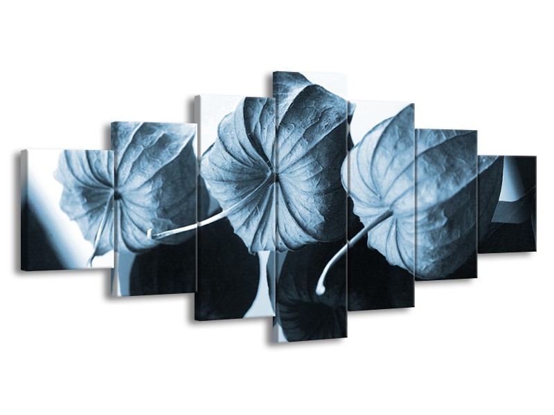 Canvas Schilderij Bloem | Blauw, Wit | 210x100cm 7Luik