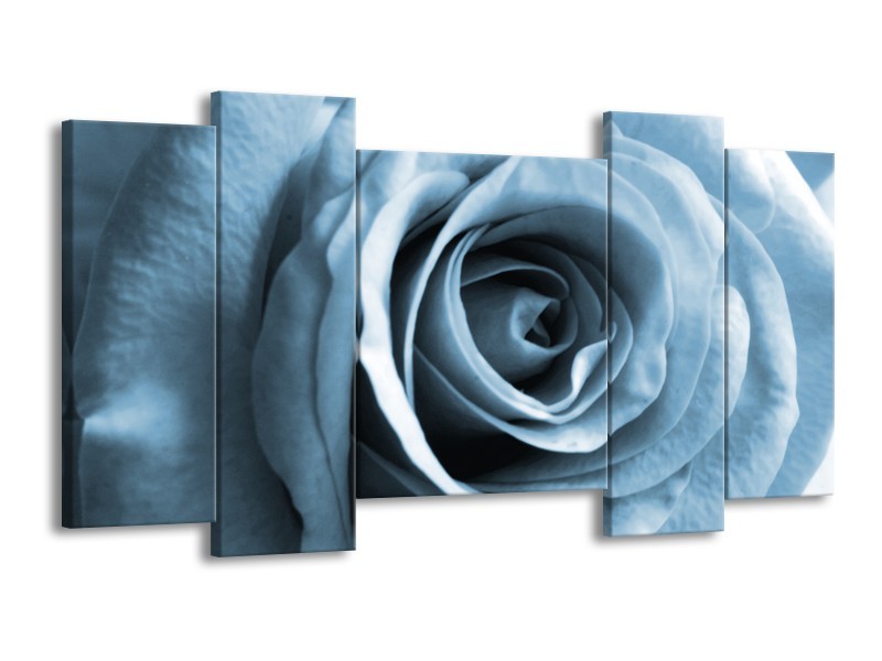 Canvas Schilderij Roos, Bloem | Blauw, Grijs, Wit | 120x65cm 5Luik