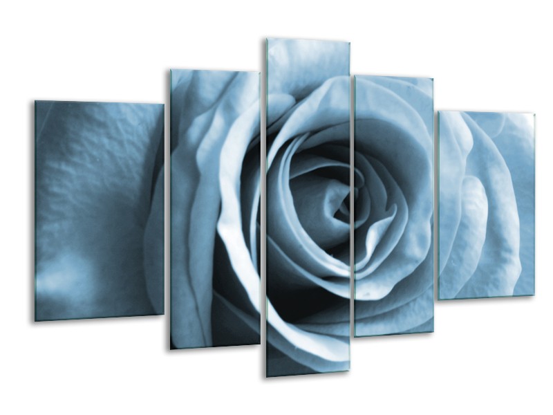 Glasschilderij Roos, Bloem | Blauw, Grijs, Wit | 170x100cm 5Luik