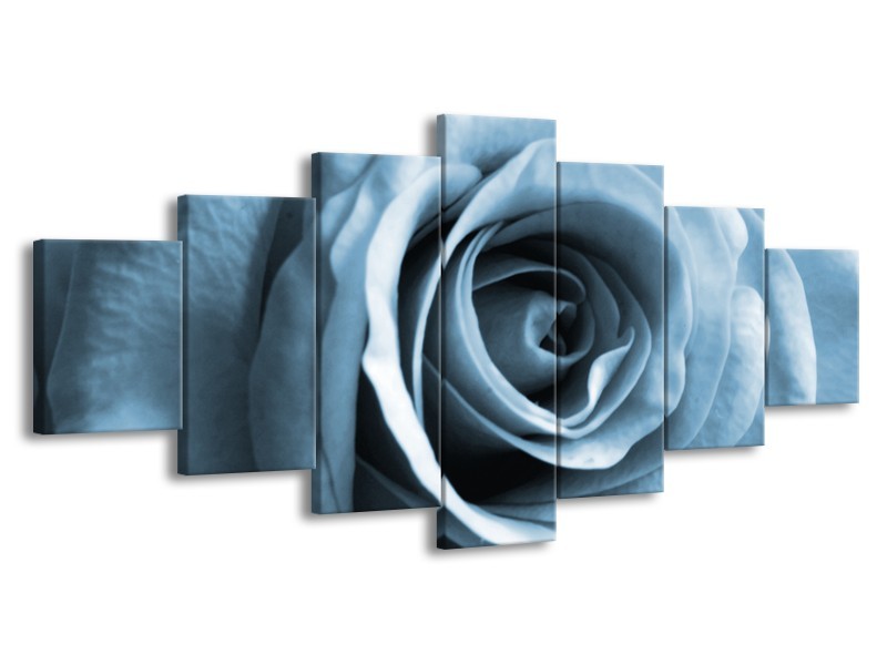 Glasschilderij Roos, Bloem | Blauw, Grijs, Wit | 210x100cm 7Luik