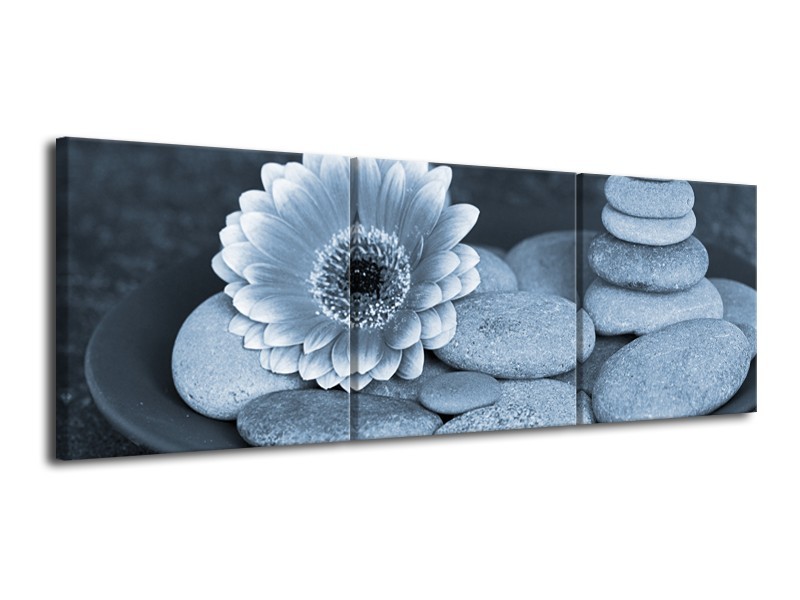 Glasschilderij Bloem, Stenen | Blauw, Grijs | 120x40cm 3Luik