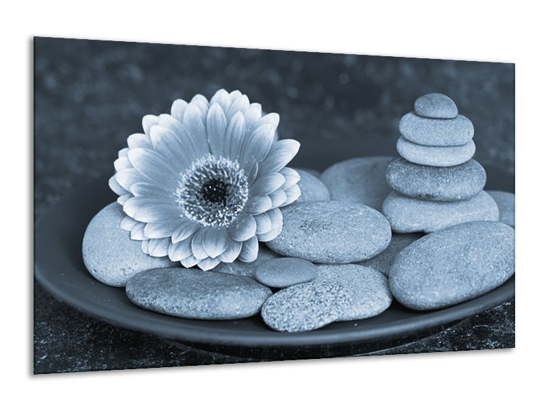 Canvas Schilderij Bloem, Stenen | Blauw, Grijs | 120x70cm 1Luik