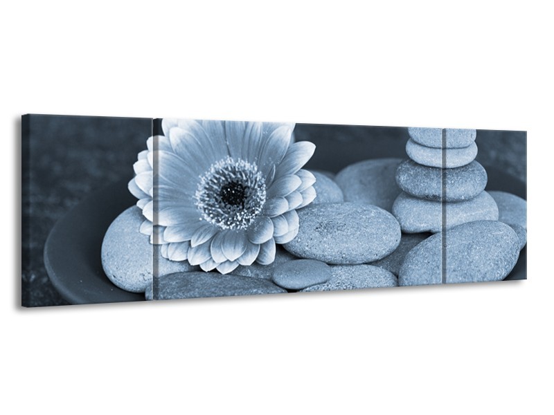 Canvas Schilderij Bloem, Stenen | Blauw, Grijs | 170x50cm 3Luik