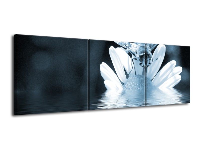 Canvas Schilderij Bloem | Blauw, Grijs | 120x40cm 3Luik