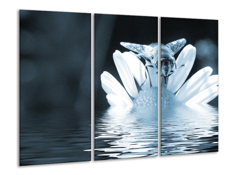 Glasschilderij Bloem | Blauw, Grijs | 120x80cm 3Luik