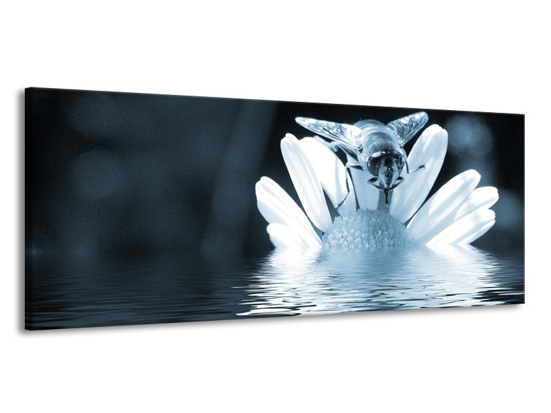 Glasschilderij Bloem | Blauw, Grijs | 145x58cm 1Luik