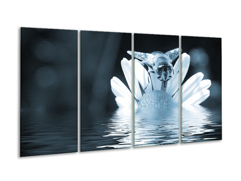 Glasschilderij Bloem | Blauw, Grijs | 160x80cm 4Luik