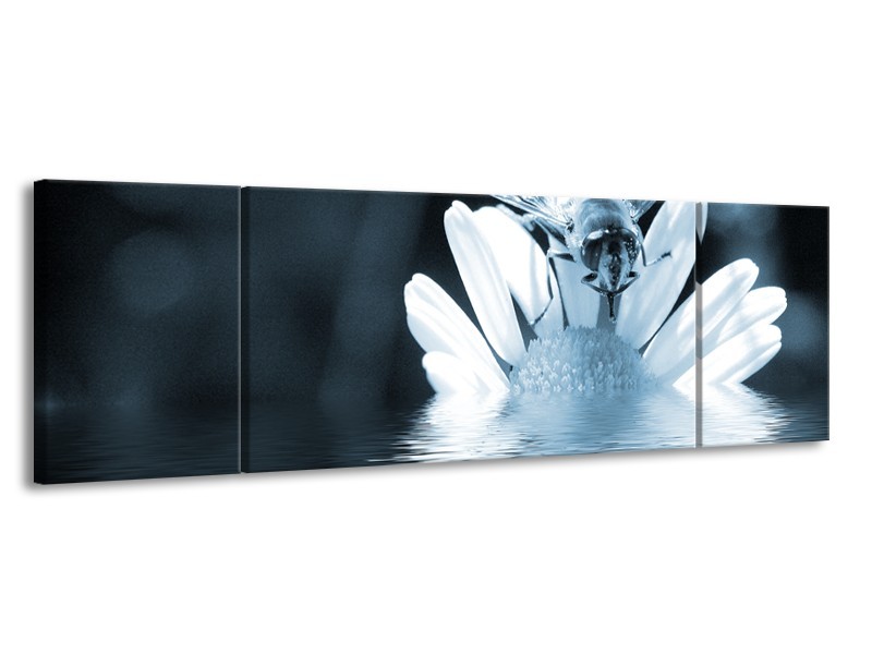 Canvas Schilderij Bloem | Blauw, Grijs | 170x50cm 3Luik