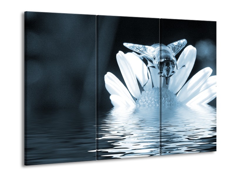 Glasschilderij Bloem | Blauw, Grijs | 60x90cm 3Luik