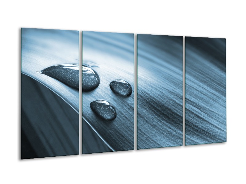 Glasschilderij Macro, Druppel | Blauw, Grijs | 160x80cm 4Luik