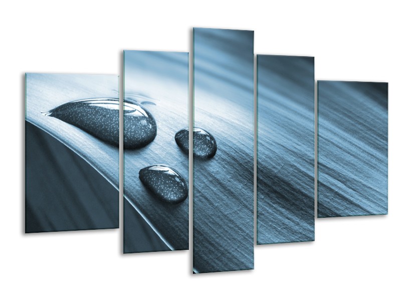 Glasschilderij Macro, Druppel | Blauw, Grijs | 170x100cm 5Luik