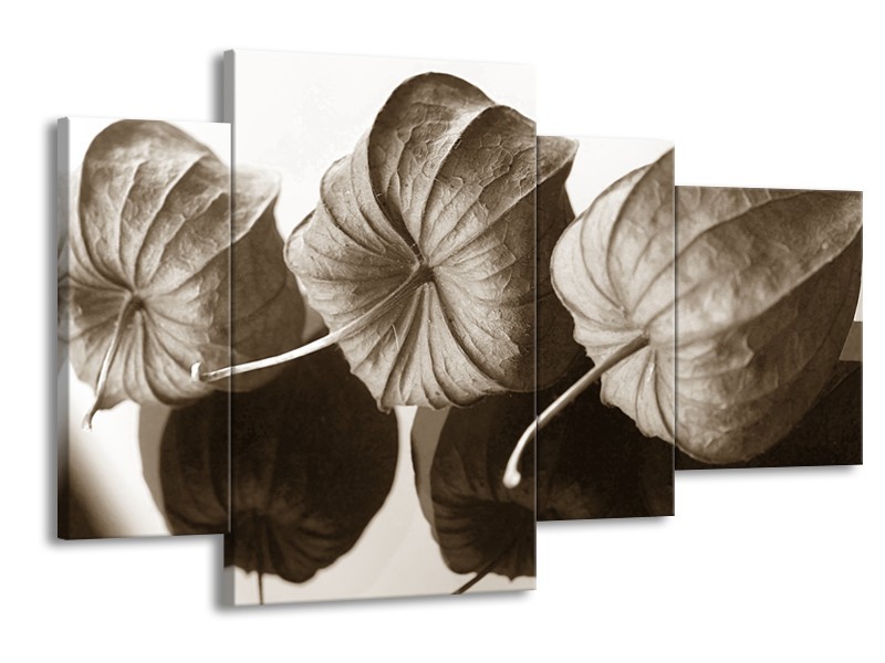 Glasschilderij Bloem | Sepia | 120x75cm 4Luik