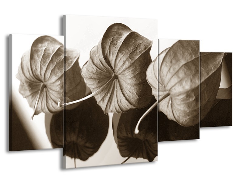 Glasschilderij Bloem | Sepia | 160x90cm 4Luik