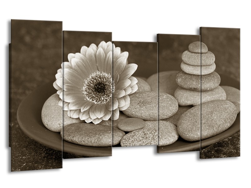 Glasschilderij Bloem, Stenen | Sepia | 150x80cm 5Luik