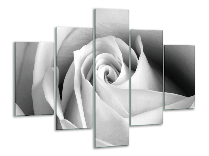 Glasschilderij Roos, Bloem | Grijs, Zwart, Wit | 100x70cm 5Luik
