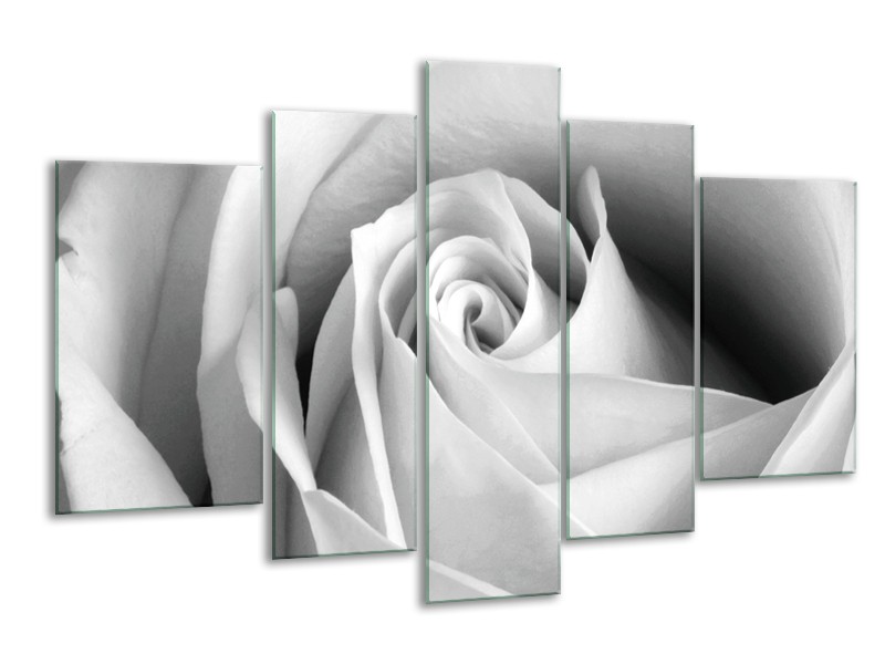 Glasschilderij Roos, Bloem | Grijs, Zwart, Wit | 170x100cm 5Luik