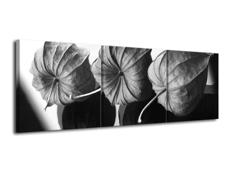 Canvas Schilderij Bloem | Grijs, Zwart | 120x40cm 3Luik