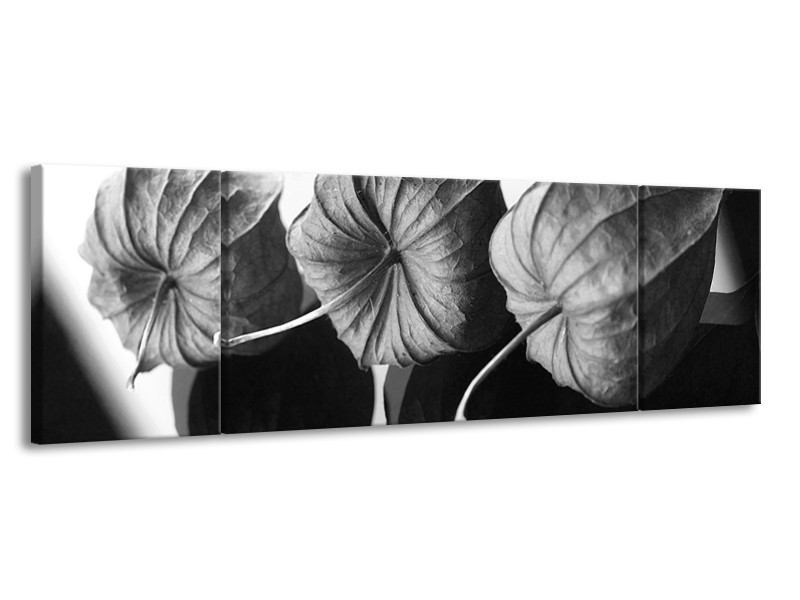 Glasschilderij Bloem | Grijs, Zwart | 170x50cm 3Luik