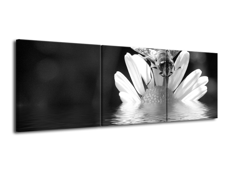 Canvas Schilderij Bloem | Grijs, Zwart, Wit | 120x40cm 3Luik