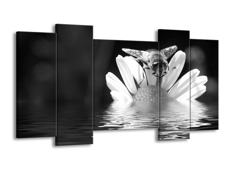 Glasschilderij Bloem | Grijs, Zwart, Wit | 120x65cm 5Luik