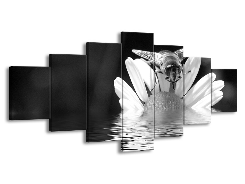 Glasschilderij Bloem | Grijs, Zwart, Wit | 210x100cm 7Luik