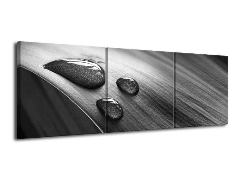 Canvas Schilderij Macro, Druppel | Grijs, Zwart | 120x40cm 3Luik