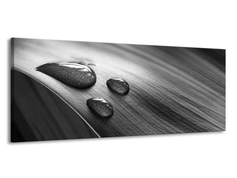 Canvas Schilderij Macro, Druppel | Grijs, Zwart | 145x58cm 1Luik