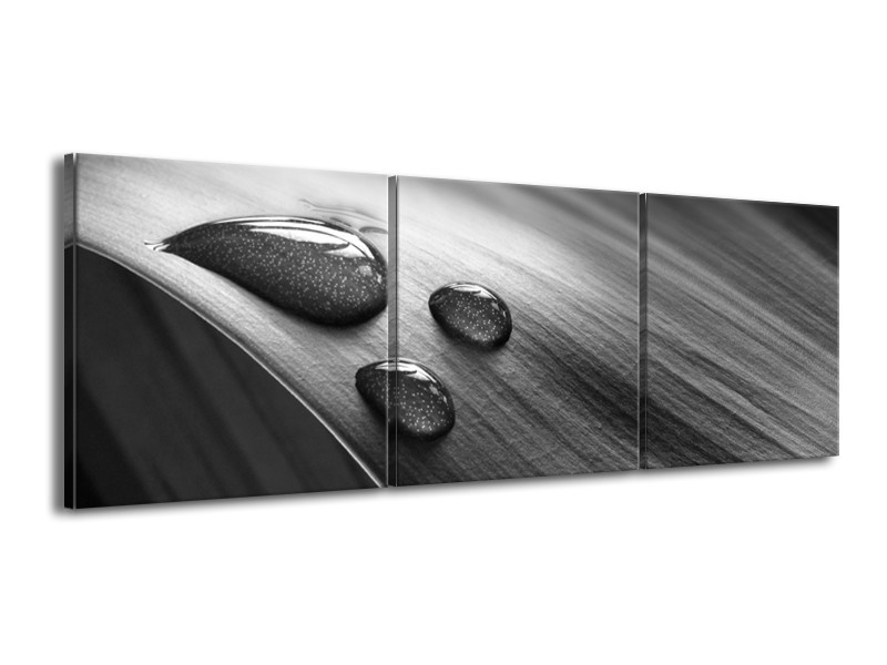 Canvas Schilderij Macro, Druppel | Grijs, Zwart | 150x50cm 3Luik