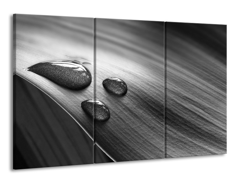 Canvas Schilderij Macro, Druppel | Grijs, Zwart | 165x100cm 3Luik