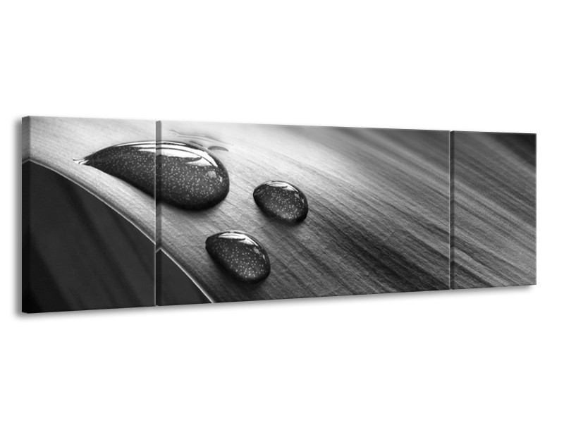 Canvas Schilderij Macro, Druppel | Grijs, Zwart | 170x50cm 3Luik