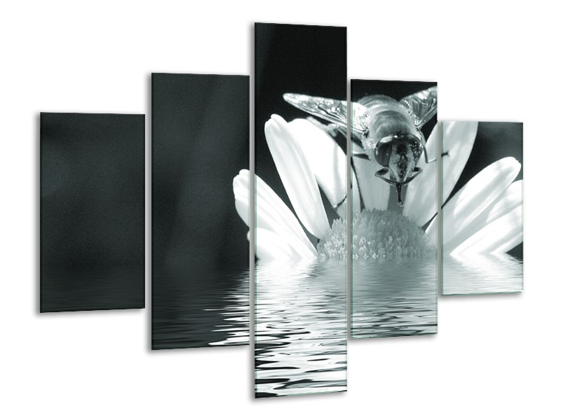 Glasschilderij Bloem | Grijs, Groen, Zwart | 100x70cm 5Luik