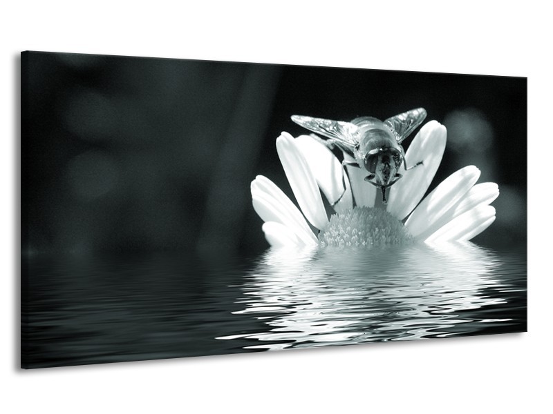Canvas Schilderij Bloem | Grijs, Groen, Zwart | 170x90cm 1Luik