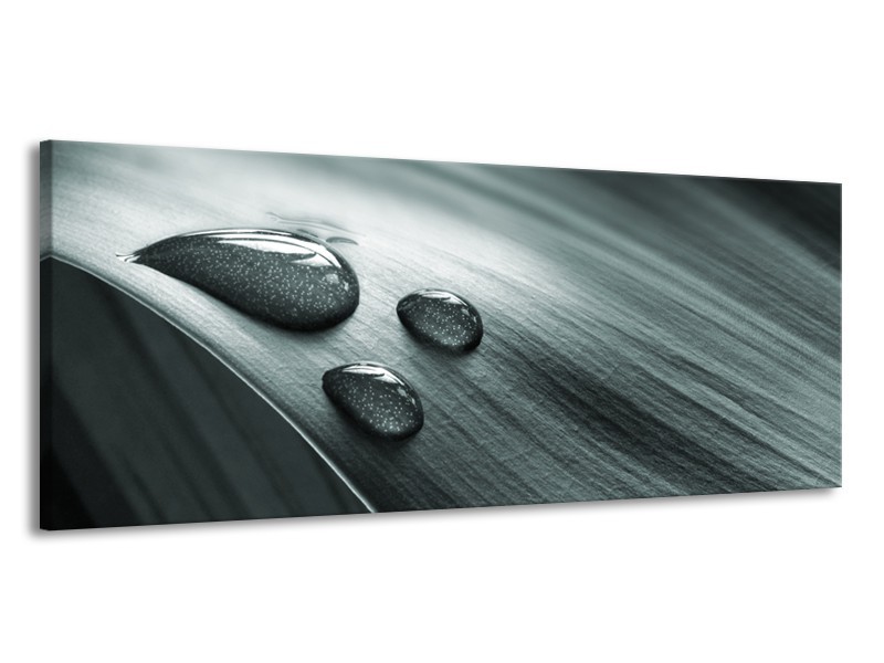 Canvas Schilderij Macro, Druppel | Grijs, Groen, Zwart | 145x58cm 1Luik