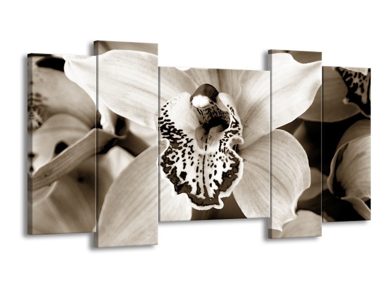 Glasschilderij Bloem | Sepia | 120x65cm 5Luik