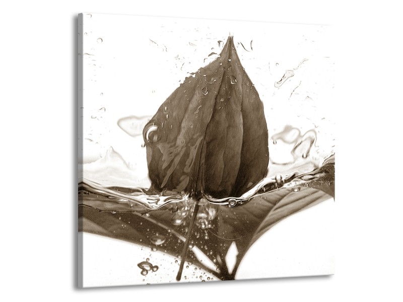 Canvas Schilderij Bloem | Sepia | 70x70cm 1Luik