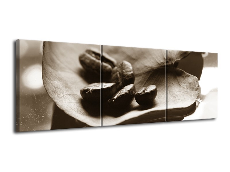 Glasschilderij Koffiebonen, Keuken | Sepia | 120x40cm 3Luik