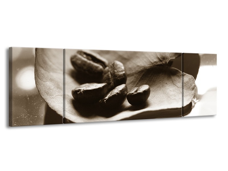 Glasschilderij Koffiebonen, Keuken | Sepia | 170x50cm 3Luik