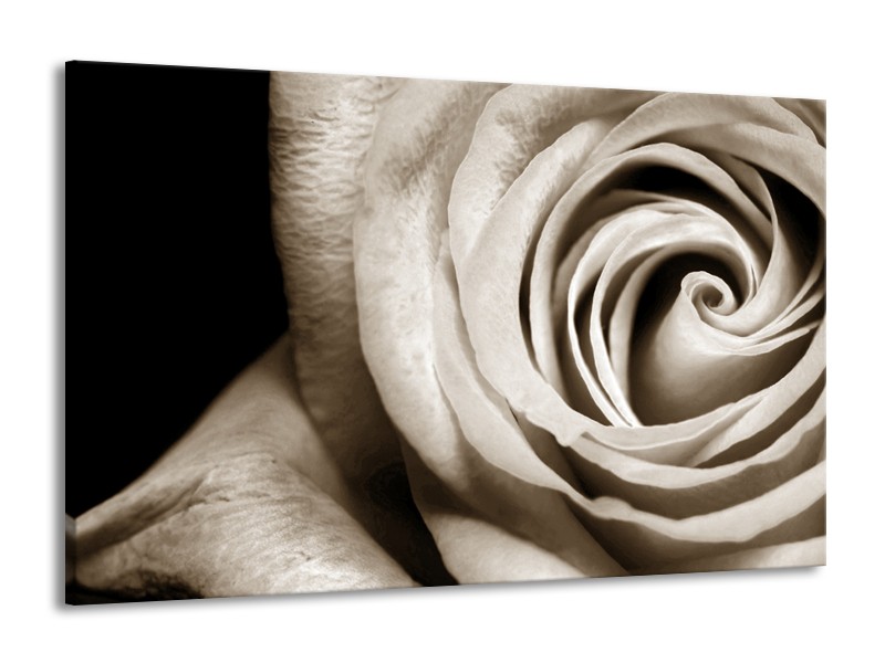Canvas Schilderij Roos, Bloem | Sepia, Bruin, Zwart | 140x90cm 1Luik