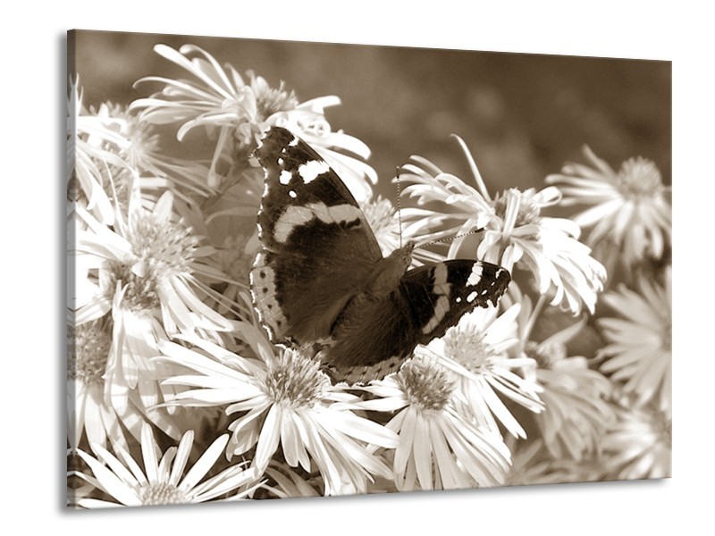 Canvas Schilderij Bloemen, Vlinder | Sepia, Bruin | 100x70cm 1Luik