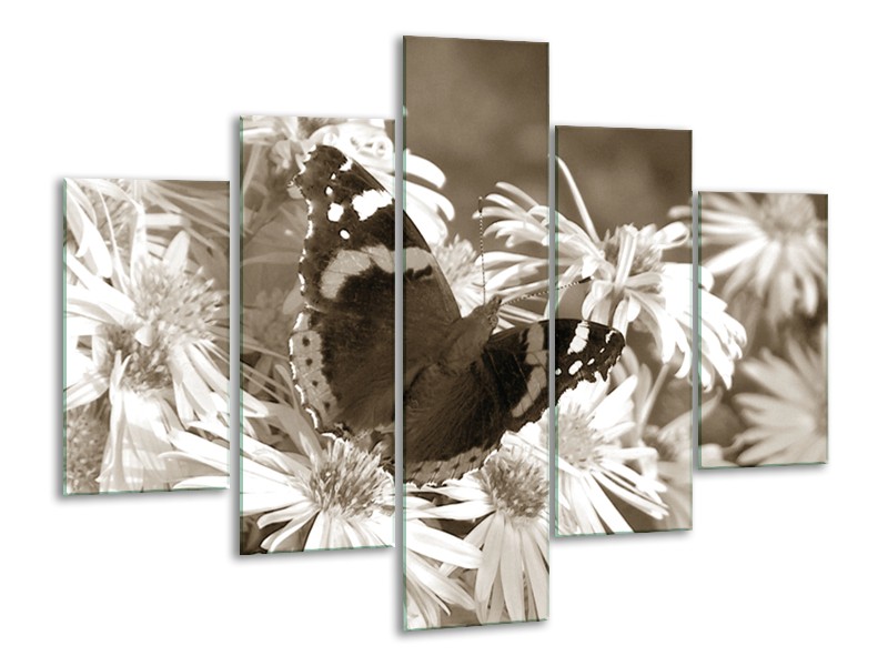 Glasschilderij Bloemen, Vlinder | Sepia, Bruin | 100x70cm 5Luik