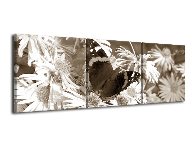 Canvas Schilderij Bloemen, Vlinder | Sepia, Bruin | 120x40cm 3Luik