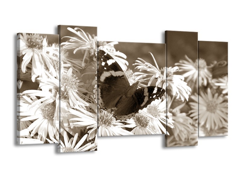 Canvas Schilderij Bloemen, Vlinder | Sepia, Bruin | 120x65cm 5Luik